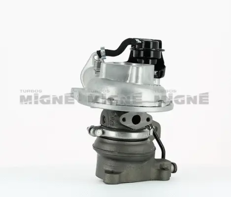 Charger, charging (supercharged/turbocharged)