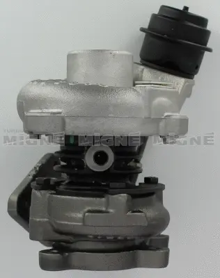 Charger, charging (supercharged/turbocharged)