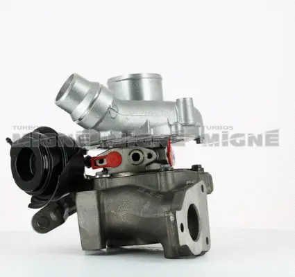 Charger, charging (supercharged/turbocharged)