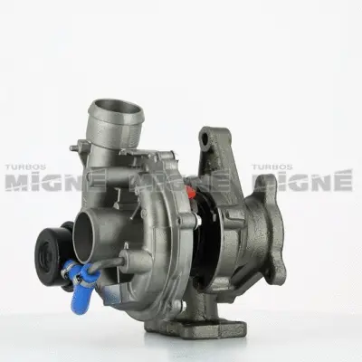 Charger, charging (supercharged/turbocharged)