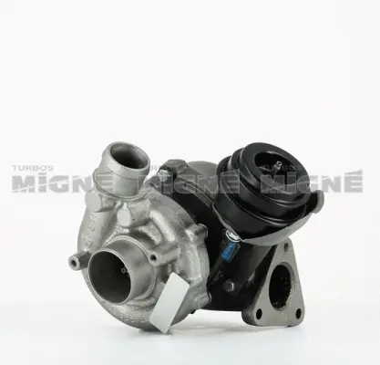 Charger, charging (supercharged/turbocharged)