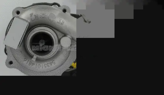 Charger, charging (supercharged/turbocharged) (50427E)