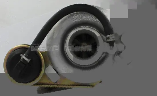 Charger, charging (supercharged/turbocharged) (50466E)