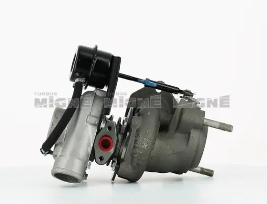 Charger, charging (supercharged/turbocharged)