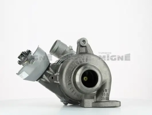 Charger, charging (supercharged/turbocharged)