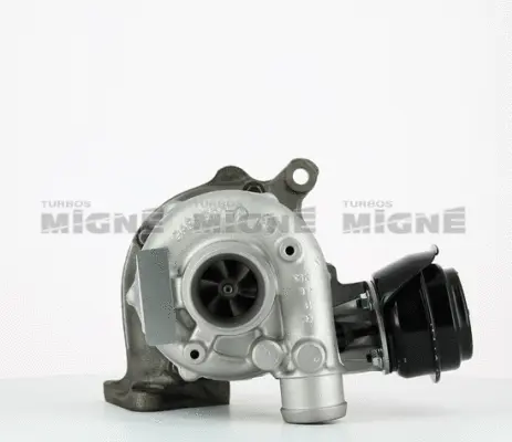 Charger, charging (supercharged/turbocharged) (50061E)