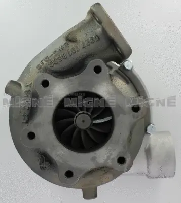 Charger, charging (supercharged/turbocharged)