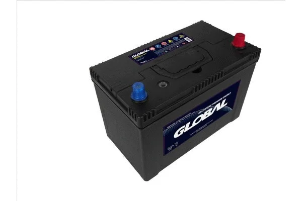 Starter Battery (GR100C)