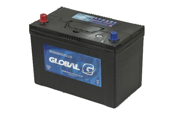 Starter Battery (GL100C)