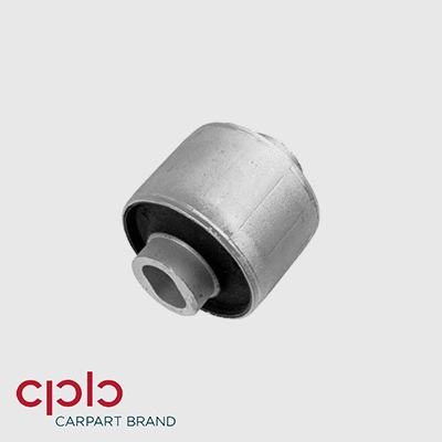 Mounting, control/trailing arm (500219)