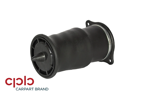 Air Spring, suspension (503495)
