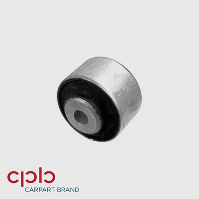 Mounting, control/trailing arm (501825)