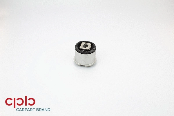 Bushing, axle bracket (504389)