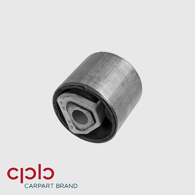 Mounting, control/trailing arm (500099)