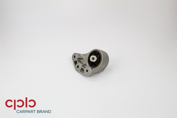 Mounting, transfer case (501649)