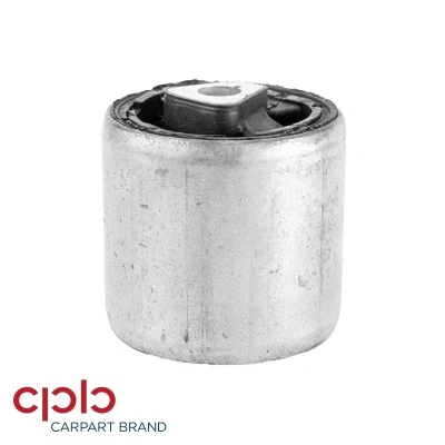 Mounting, control/trailing arm (500091)
