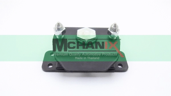 Mounting, engine (ISENM-028)