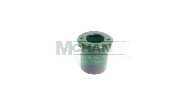 Bushing, leaf spring (ISLSB-009)