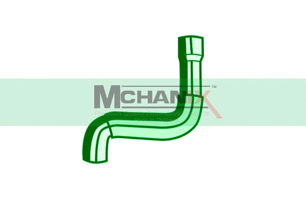 Radiator Hose (VWRDH-007)