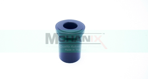 Bushing, leaf spring (NSLSB-011)