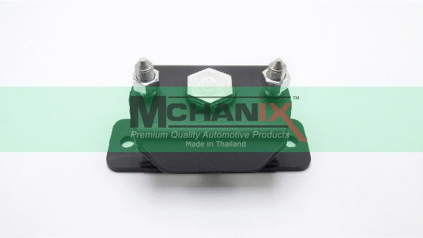 Mounting, engine (ISENM-030)