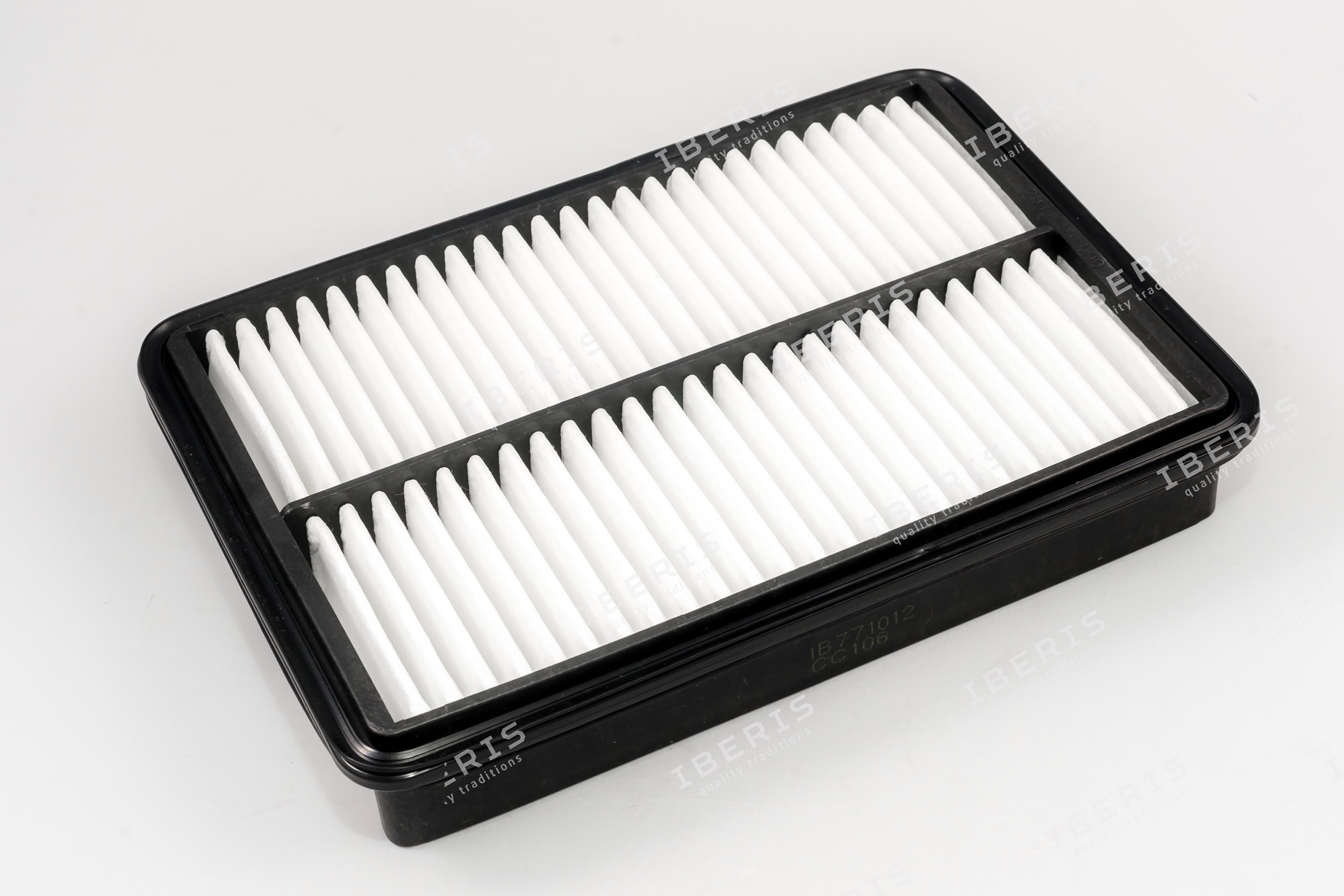Air Filter (IB771012)