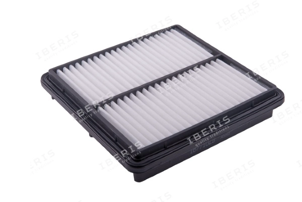 Air Filter (IB771025)