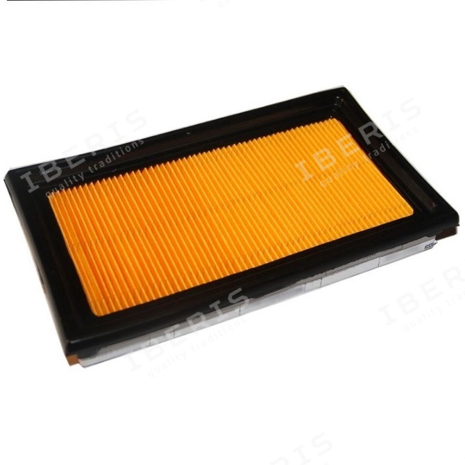 Air Filter (IB771089)