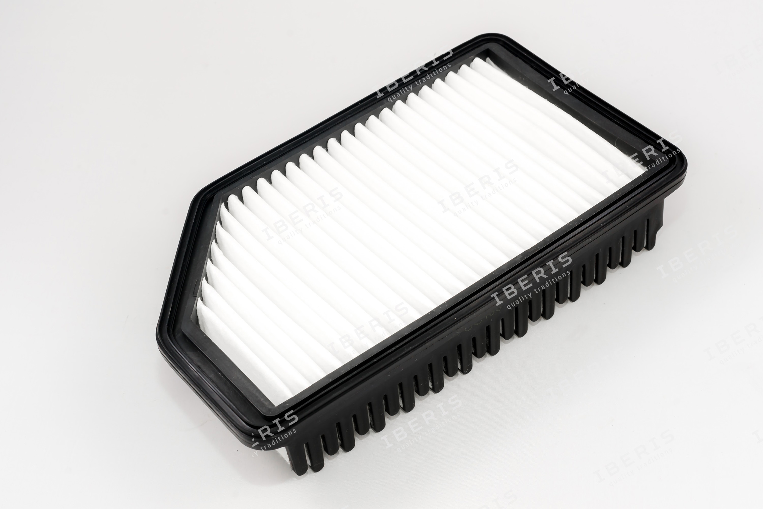 Air Filter (IB771013)