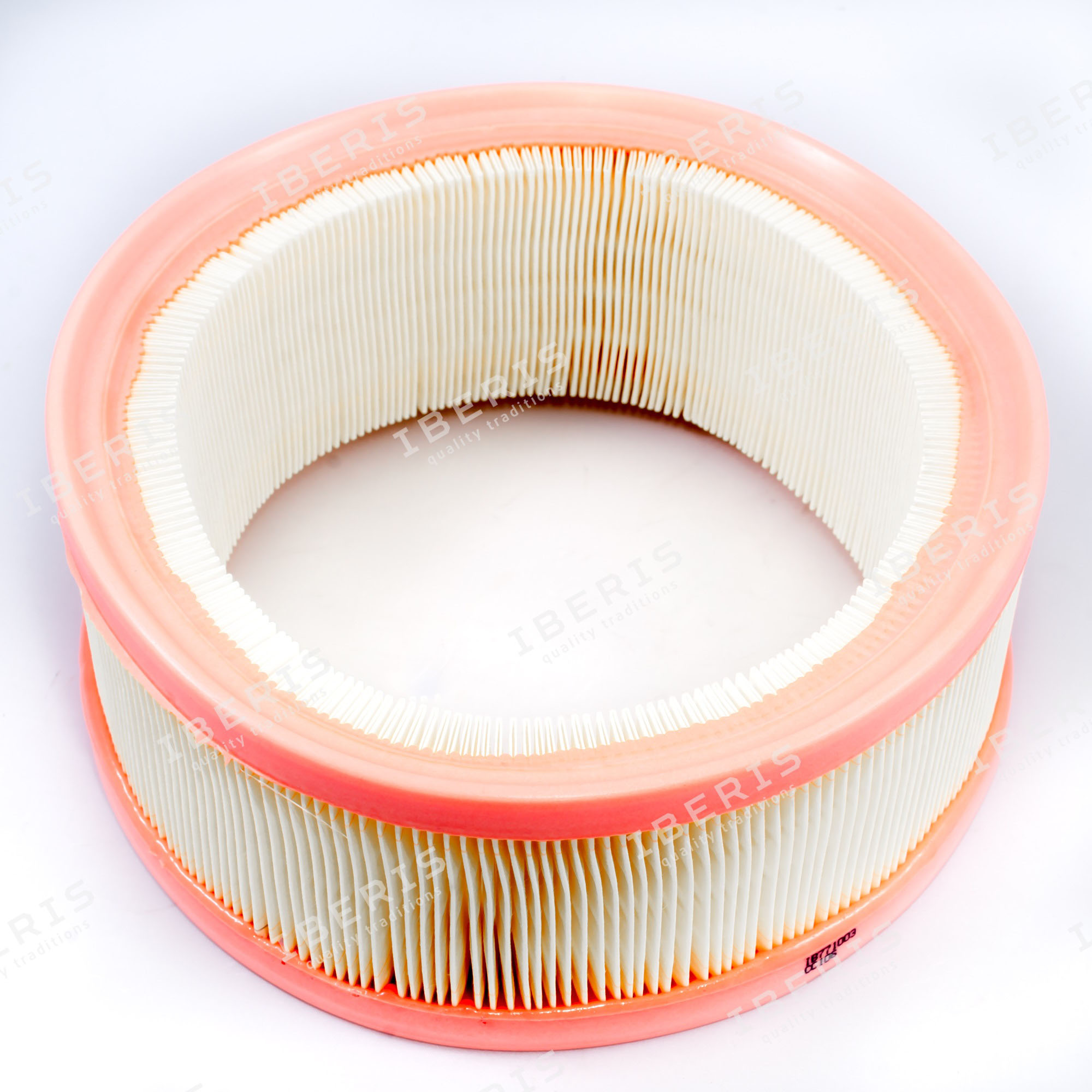 Air Filter (IB771003)