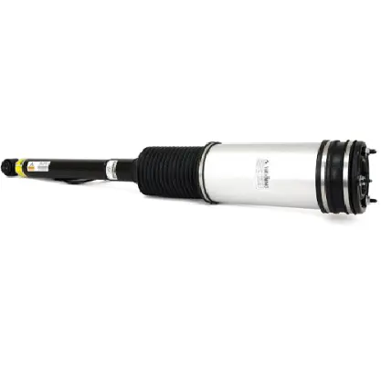 Air Suspension Strut (1160AS2194)