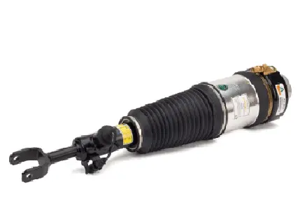 Air Suspension Strut (1160AS2816)
