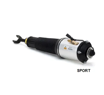 Air Suspension Strut (1160AS2778)