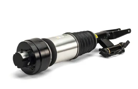 Air Suspension Strut (1160AS3000)