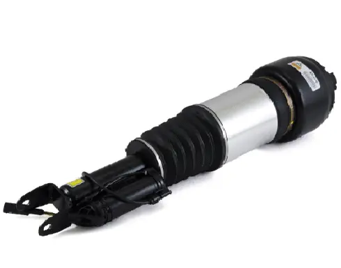 Air Suspension Strut (1160AS2246)