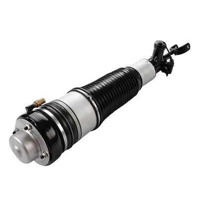 Air Suspension Strut (125AS2744N)