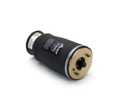 Air Spring, suspension (11600A2738)