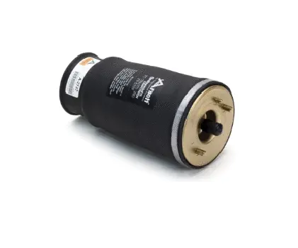 Air Spring, suspension (11600A2737)