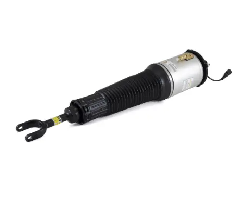 Air Suspension Strut (1160AS2561)