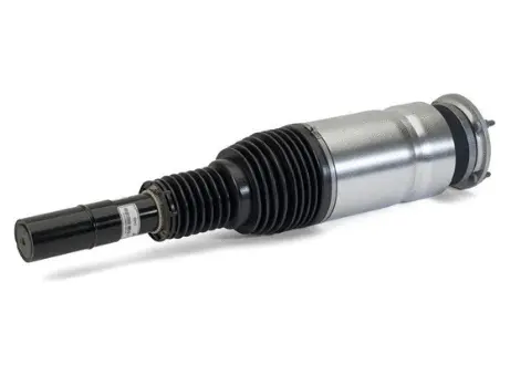 Air Suspension Strut (125AS3070R)