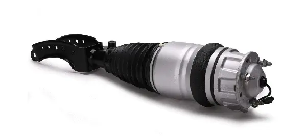 Air Suspension Strut (1650AS8300)