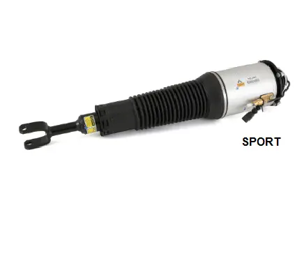 Air Suspension Strut (1160AS2563)