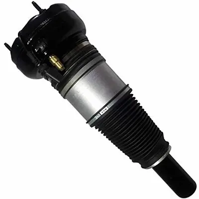 Air Suspension Strut (125AS2864R)