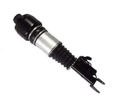 Air Suspension Strut (125AS2246R)