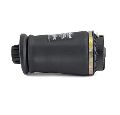 Air Spring, suspension (11600A2596)