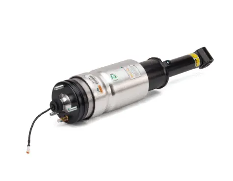 Air Suspension Strut (1160AS2761)