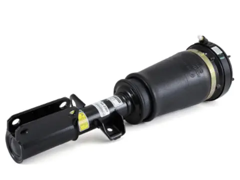 Air Suspension Strut (1160AS2305)