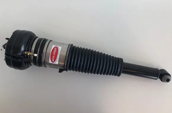 Air Suspension Strut (176AS8003V)