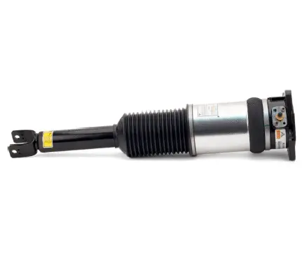 Air Suspension Strut (1160AS2958)