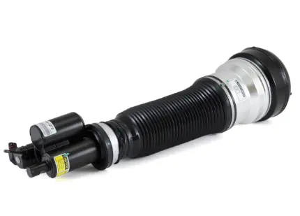 Air Suspension Strut (1160AS2272)